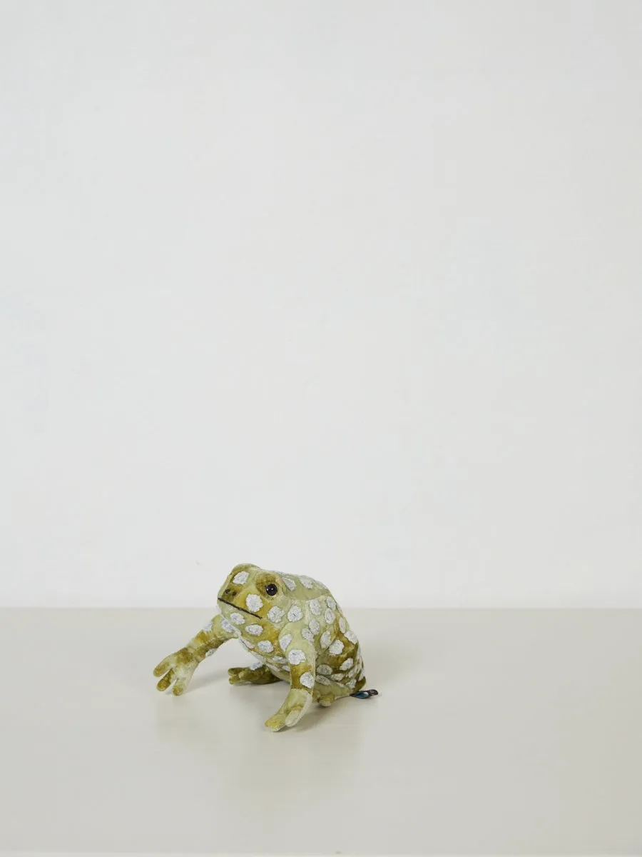 Dotty Frog in Shaded Mint