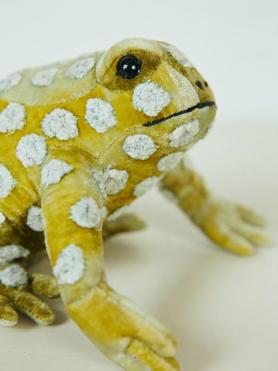 Dotty Frog in Shaded Mint