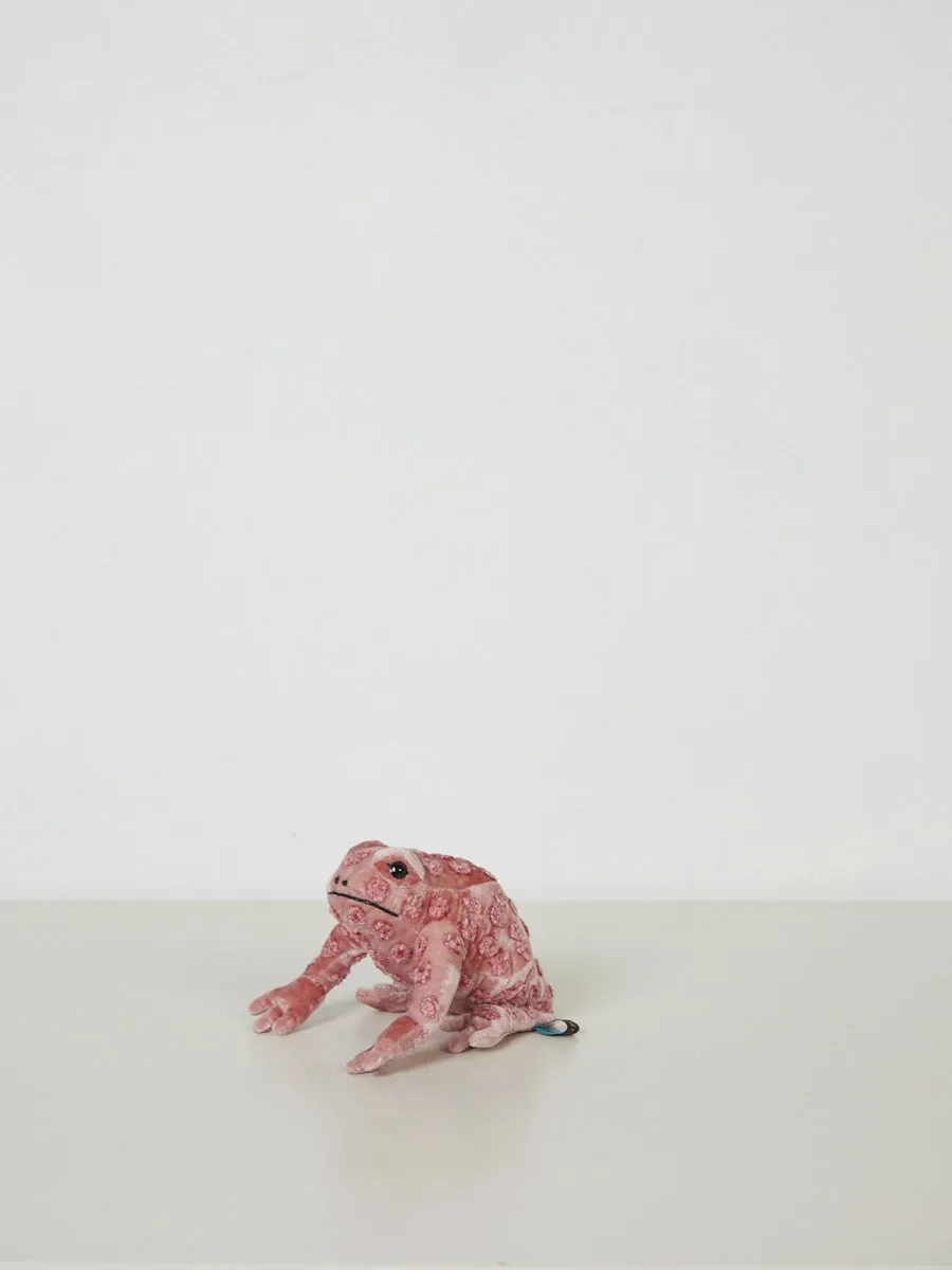 Dotty Frog in Sorber Pink