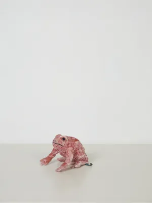 Dotty Frog in Sorber Pink