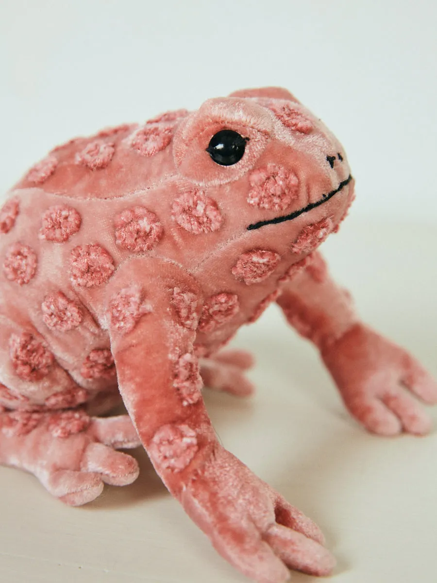 Dotty Frog in Sorber Pink